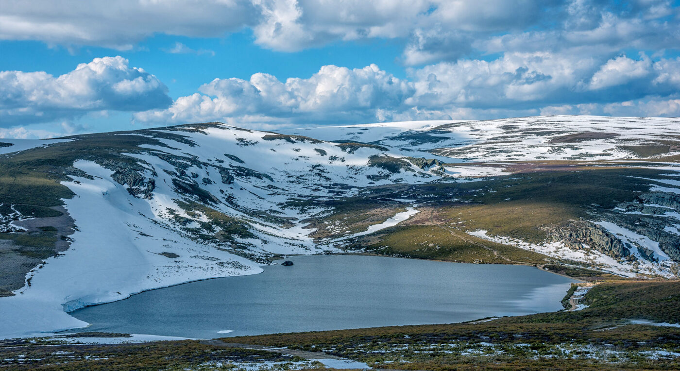 PECES_lagunasdesanabria