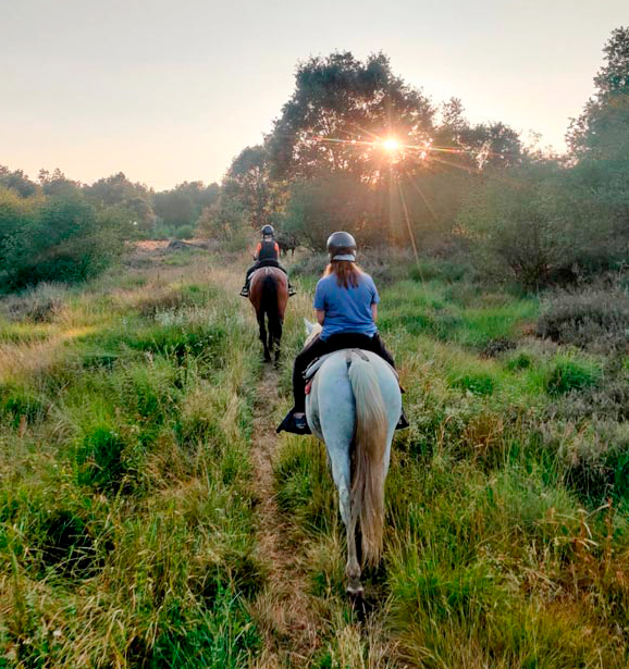 sanabria-a-caballo